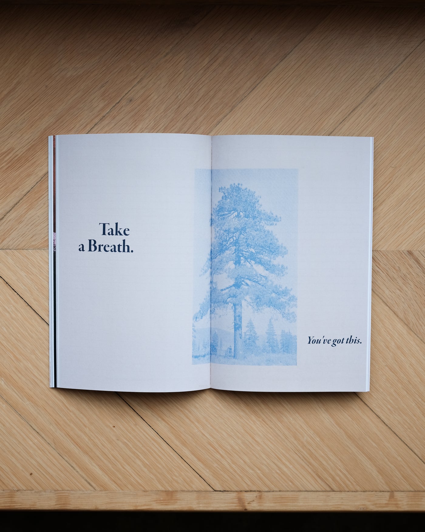 Guided Daily Journal
