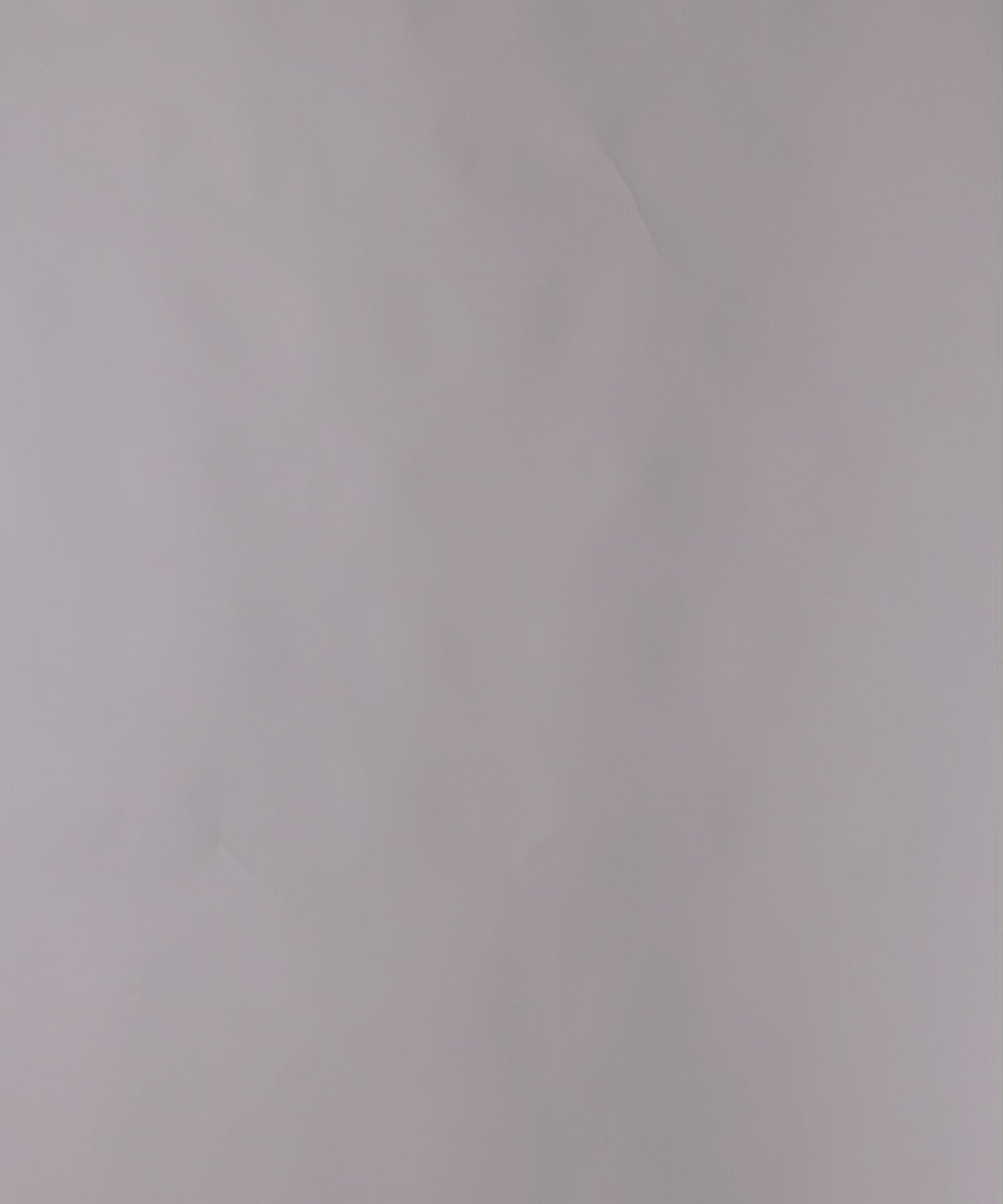 Guardian Long Sleeve Shirt