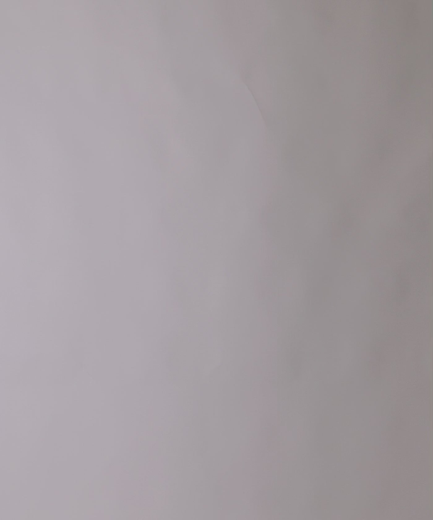 Leaf Pullover Hoodie